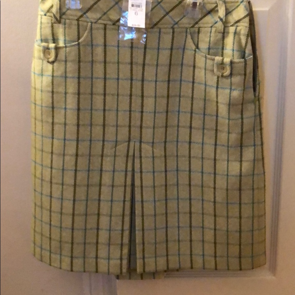 Ann Taylor LOFT Green Skirt